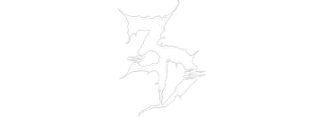 ZD logo